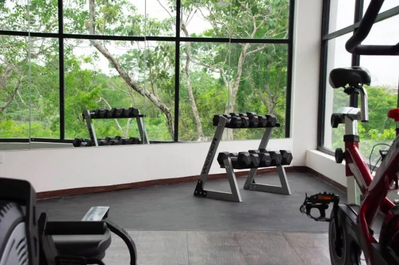 Entire Apartment At Dk Tulum