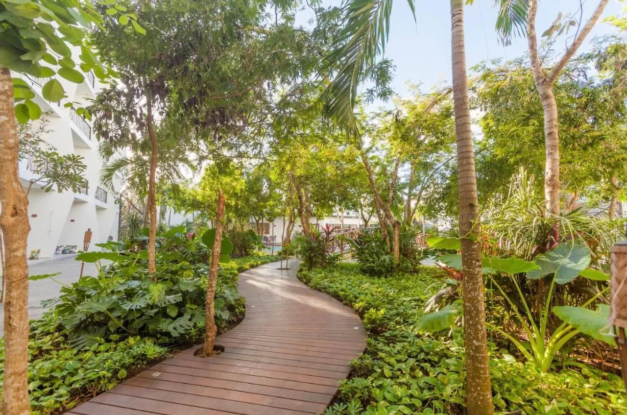 Entire Apartment At Dk Tulum