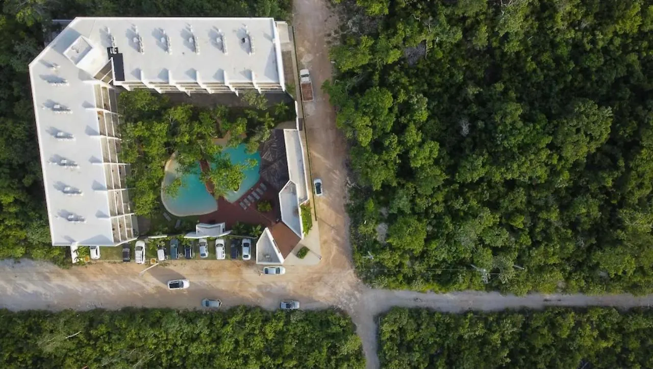 Entire Apartment At Dk Tulum